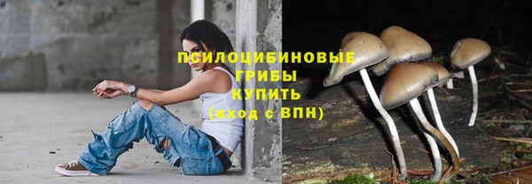 трава Белокуриха