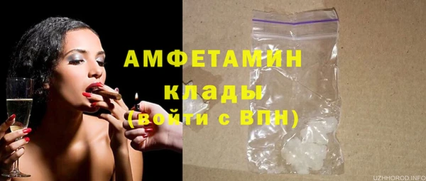 трава Белокуриха