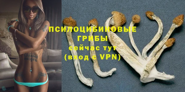 метадон Беломорск