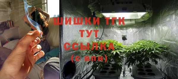 ГАЛЛЮЦИНОГЕННЫЕ ГРИБЫ Белоозёрский